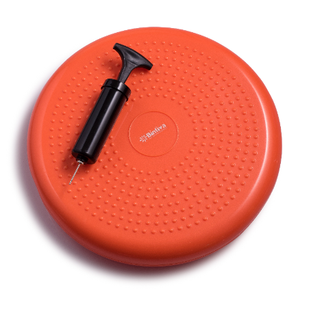 Bintiva Balance Disc
