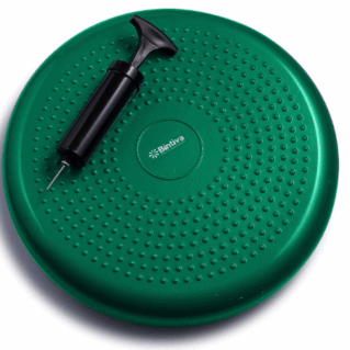 Bintiva Balance Disc