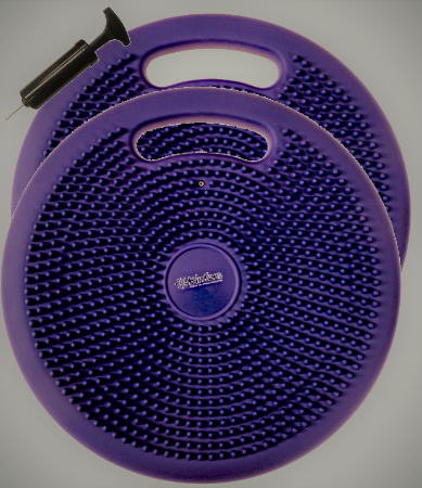 Bintiva Balance Disc