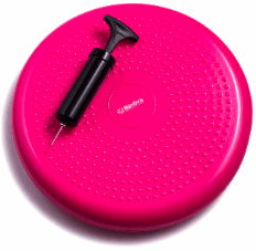 Bintiva Balance Disc