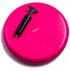 Bintiva Balance Disc