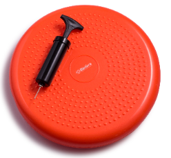Bintiva Balance Disc