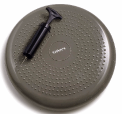 Bintiva Balance Disc