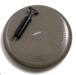 Bintiva Balance Disc